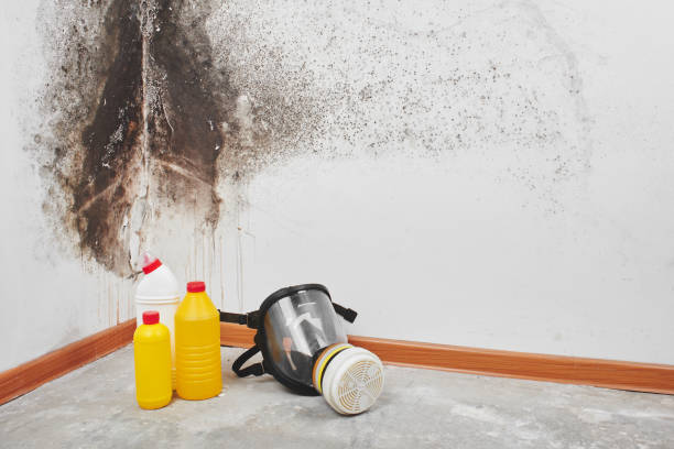 Crawl Space Mold Removal in Slatington, PA